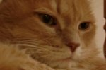 010_simon.JPG