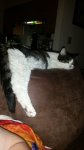 20180902_211747.jpg
