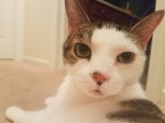 20180907_105427.jpg