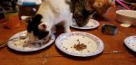 20180913_190254.jpg