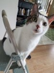 20180919_132618.jpg