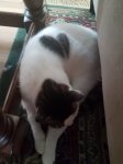 20180921_104959.jpg