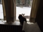 IMG_0903.JPG