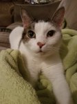 20180928_195110.jpg