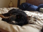 IMG_0201.JPG
