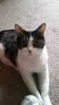 20181011_095638.jpg