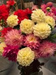 dahlia18-02.jpg