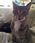 20181013_112840.jpg