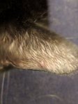 IMG_20181024_203036.jpg