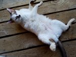 20180704_200259.jpg