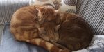 IMG-20181119-WA0008.jpg
