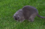 000_0099.JPG