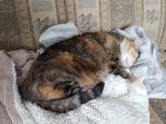 20181202_132032.jpg