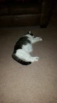 20181209_164245.jpg