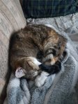 20181216_161525.jpg