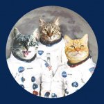 astro cats.jpg