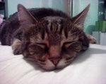 Photo-0050.jpg