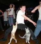 cats dancing.jpg