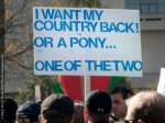 SanityRallyCountryorPony-L.jpg
