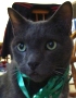 Buddy with Ribbon resize.jpg
