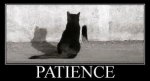 patience.jpg