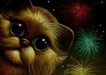 cat fireworks II.jpg