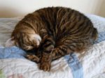 DSC00030.JPG
