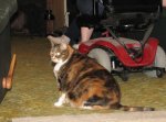 IMG_5307 forum.JPG
