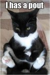 IHasAPout.jpg