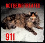 Lulu911.jpg