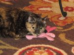 Ruby and Pink Bunny 2.jpg