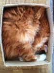 rob in box.jpg