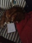 chekcing number.jpg