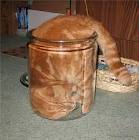 cat in jar.jpg