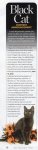 CatFancy-BlackCats.jpg