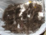 06-09-12Z2 Furminator, mostly Hershey.JPG