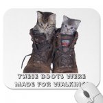 boots_these_boots_were_made_for_walking_mousepad-p144886109542039410envq7_400.jpg