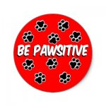 be_pawsitive_.jpg