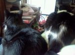 070312074430-1.jpg