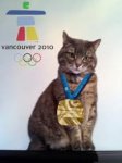 gold medal cat.jpeg