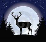 full buck moon.jpg