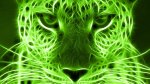 May the green be with you.JPG
