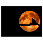 Cats & moon.png
