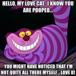 Purple cat.jpg