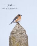 Eastern Bluebird.jpg