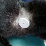 20190321_102412.jpg 20190321_102412.jpg