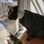 20190321_114120.jpg 20190321_114120.jpg