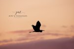 Heron Flying at Sunset.jpg