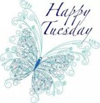 BUTTERFLY TUESDAY.jpg