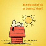 SuNNY SNOOPY DAY.jpg